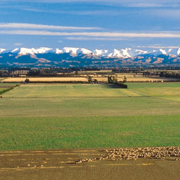 Christchurch, Canterbury