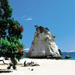 Coromandel Region